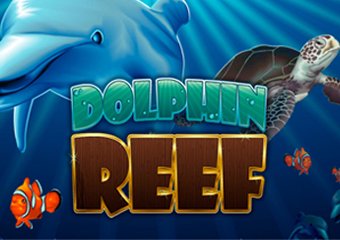 Dolphin Reef Another popular underwater-themed slot